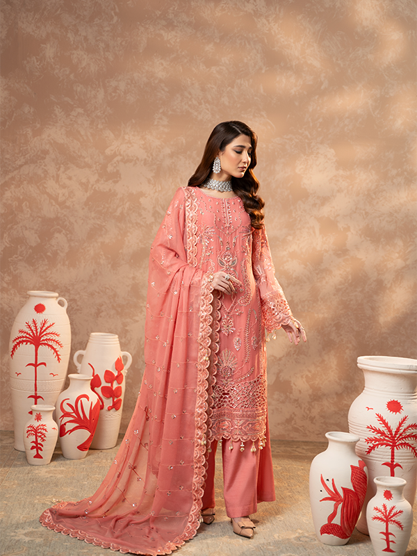 Zebtan | Zeenat Festive Collection | ZN-05 - House Of Hania