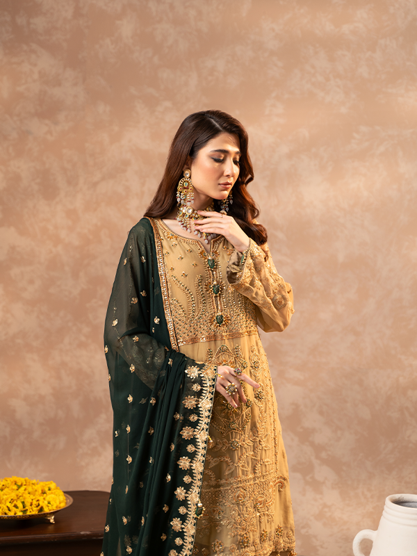 Zebtan | Zeenat Festive Collection | ZN-06 - House Of Hania