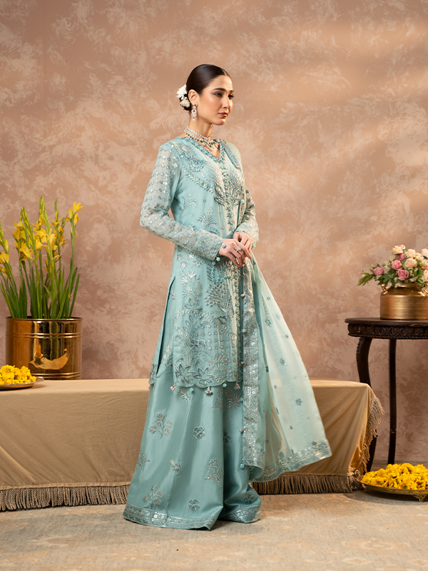 Zebtan | Zeenat Festive Collection | ZN-07 - House Of Hania