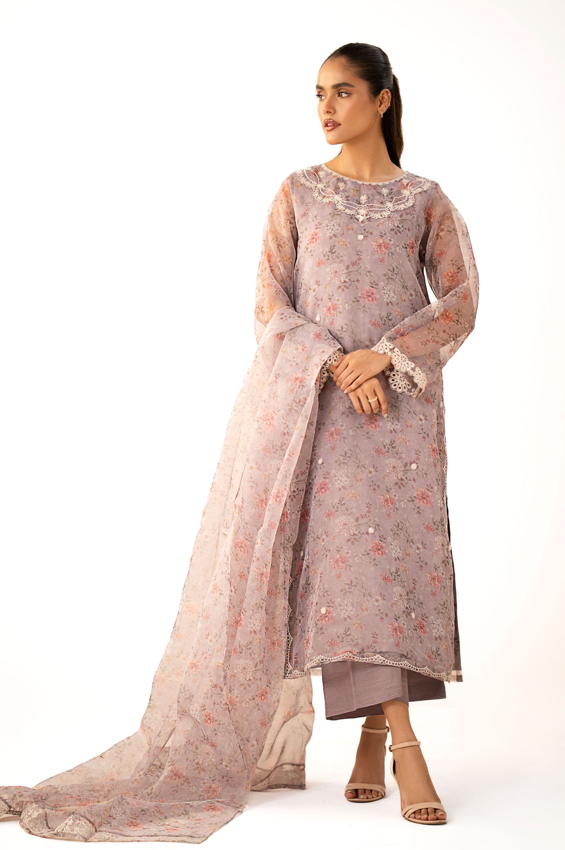 Zeen | Winter Collection | Organza 18 - House Of Hania