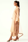 Zeen | Winter Collection | Organza 41 - House Of Hania