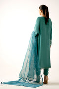 Zeen | Winter Collection | Raw Silk 33 - House Of Hania