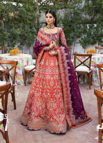 Gulaal pk Official Collection 