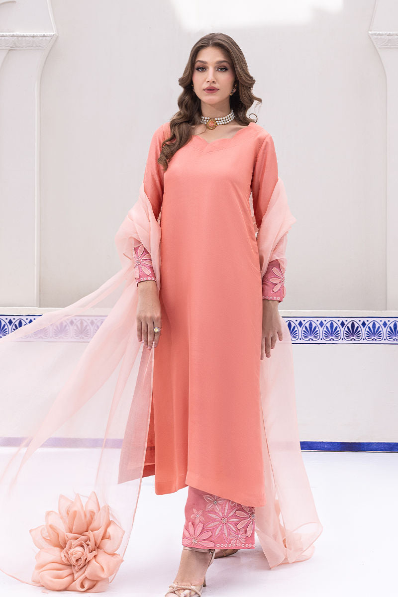 Ansab Jahangir | Luxe Pret Signature | Renee - House Of Anaya