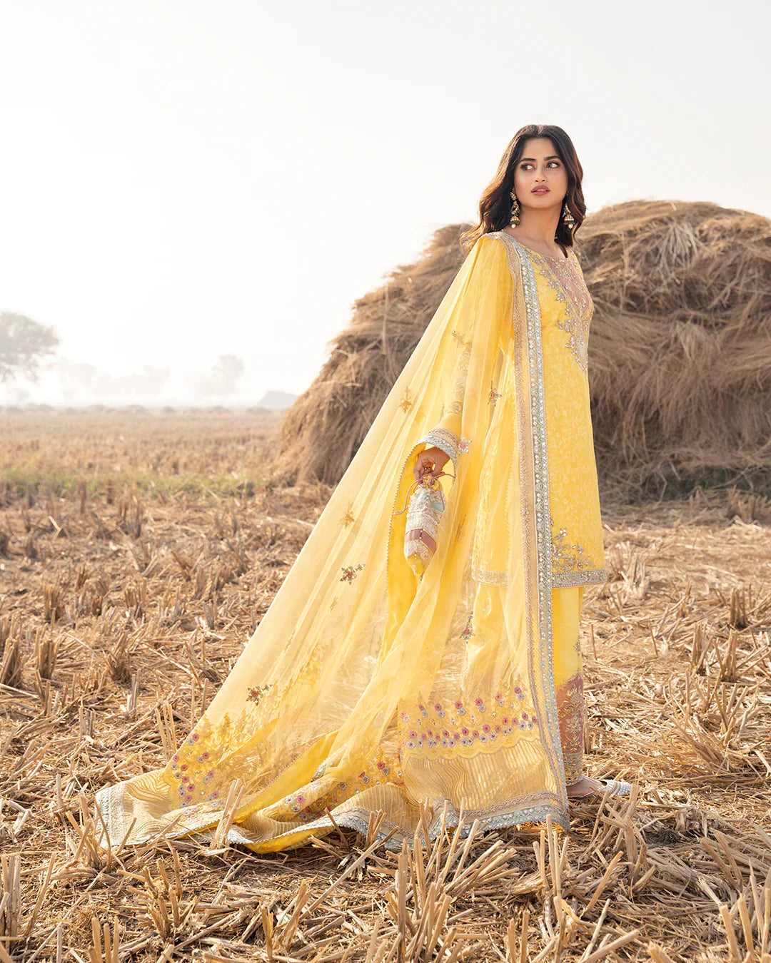 Faiza Saqlain | FS Luxe Vasl e yaar | Ghania