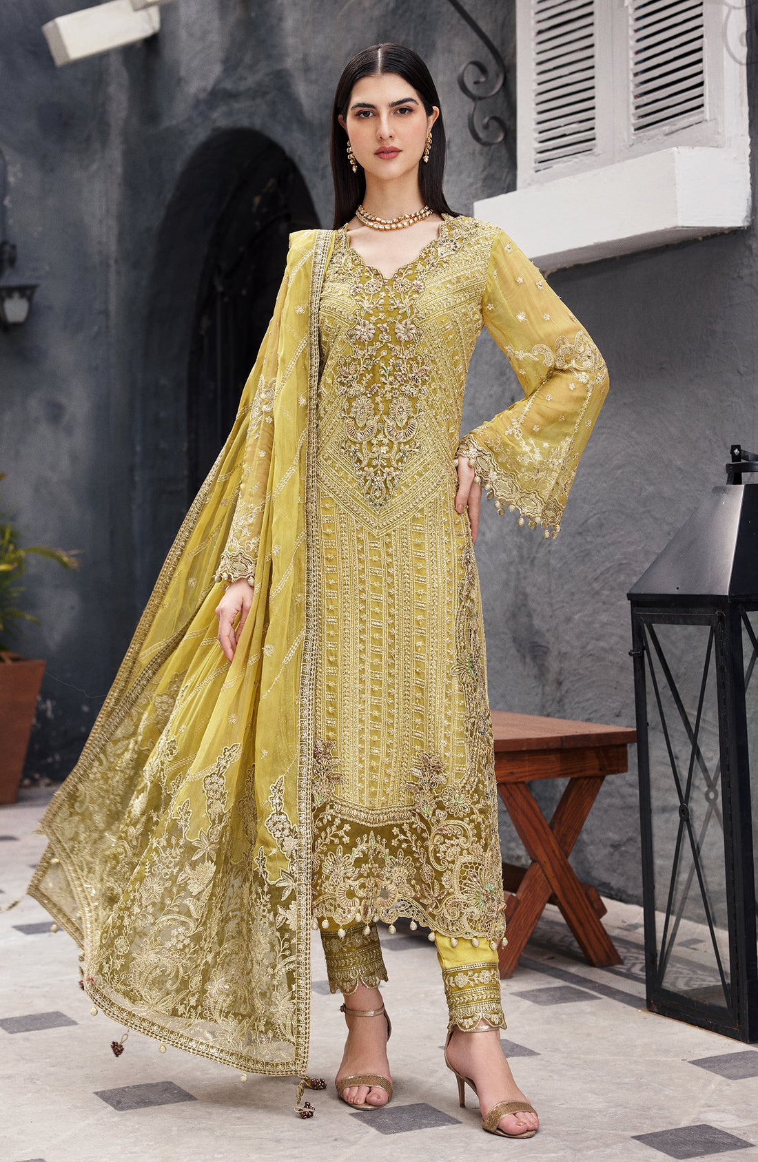 Emaan Adeel Aroohi embroidered chiffon outfit — front view