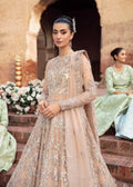 Akbar Aslam | Bridal Collection 2024 | TEMPEST