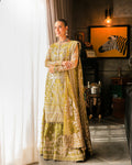 Faiza Saqlain | Nira Festive | Rozhin - House Of Anaya