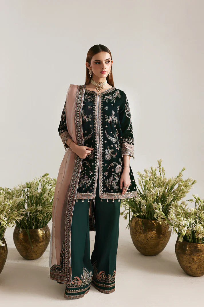 Emaan Adeel | Zarposh Velvet Collection | MEHRUUNISA