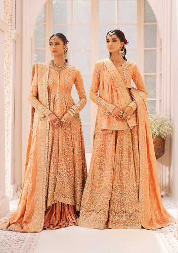 AIK ATELIER | WEDDING FESTIVE ’24 Vol-2 | LOOK 06 - House Of Hania
