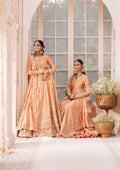 AIK ATELIER | WEDDING FESTIVE ’24 Vol-2 | LOOK 06 - House Of Hania