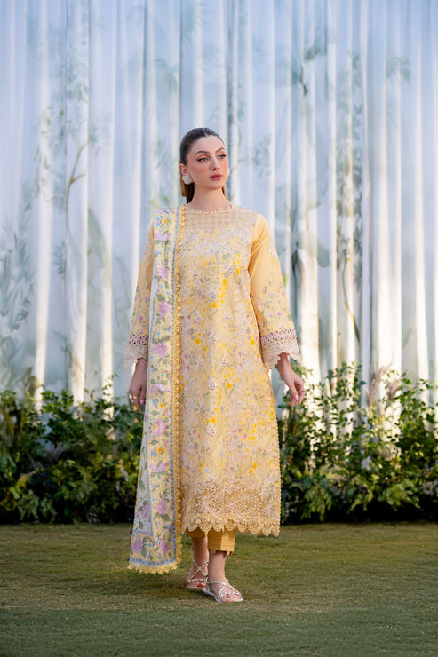 Aabyaan | Shezlin Chikankari Ramadan Edit 25 | NISA (AR-02) - House Of Hania