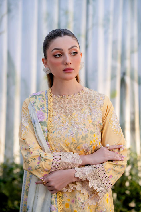 Aabyaan | Shezlin Chikankari Ramadan Edit 25 | NISA (AR-02) - House Of Hania