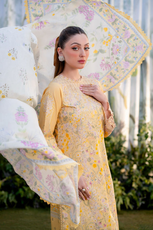 Aabyaan | Shezlin Chikankari Ramadan Edit 25 | NISA (AR-02) - House Of Hania