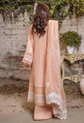 Adans Libas | Adans Chikankari SS25 | CHIKANKARI 4773 - House Of Hania