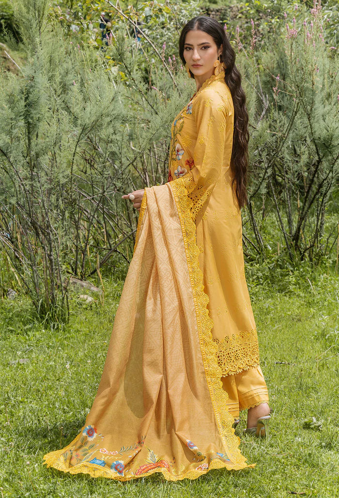 Adans Libas | Lasserkari Vol 02 | LASSER 554041 - House Of Hania