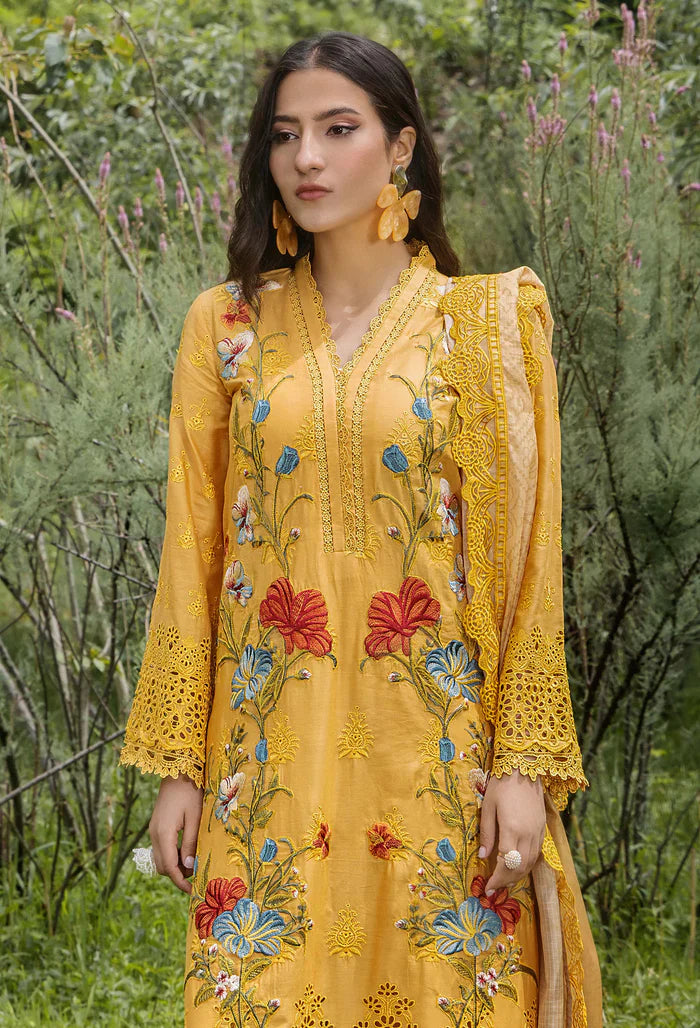 Adans Libas | Lasserkari Vol 02 | LASSER 554041 - House Of Hania