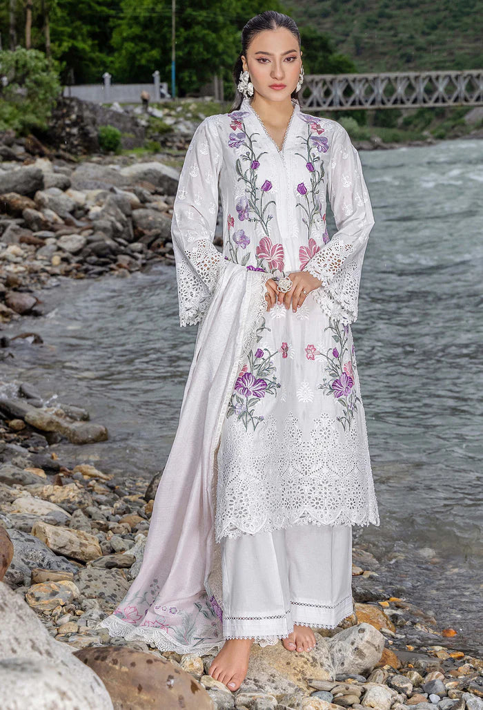 Adans Libas | Lasserkari Vol 02 | LASSER 554044 - House Of Hania