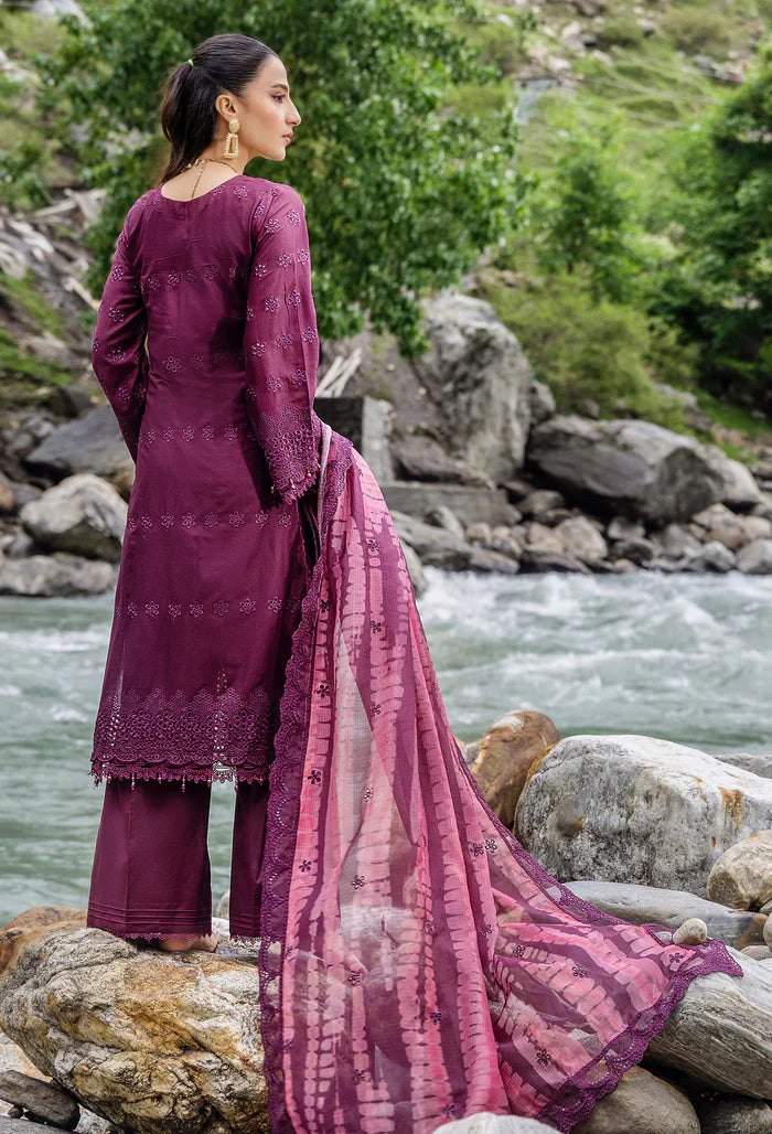 Adans Libas | Lasserkari Vol 02 | LASSER 554047 - House Of Hania