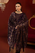 Adans Libas | Plachi Luxury Formals 24 | PLACHI 1417 - House Of Hania