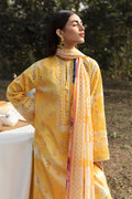 Afrozeh | Ayzel Summer Dream | DAFFODIL - House Of Hania