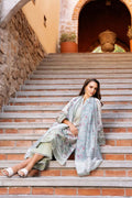 Afrozeh | Damask The Holiday Edit 25 | Rosheen A - House Of Hania