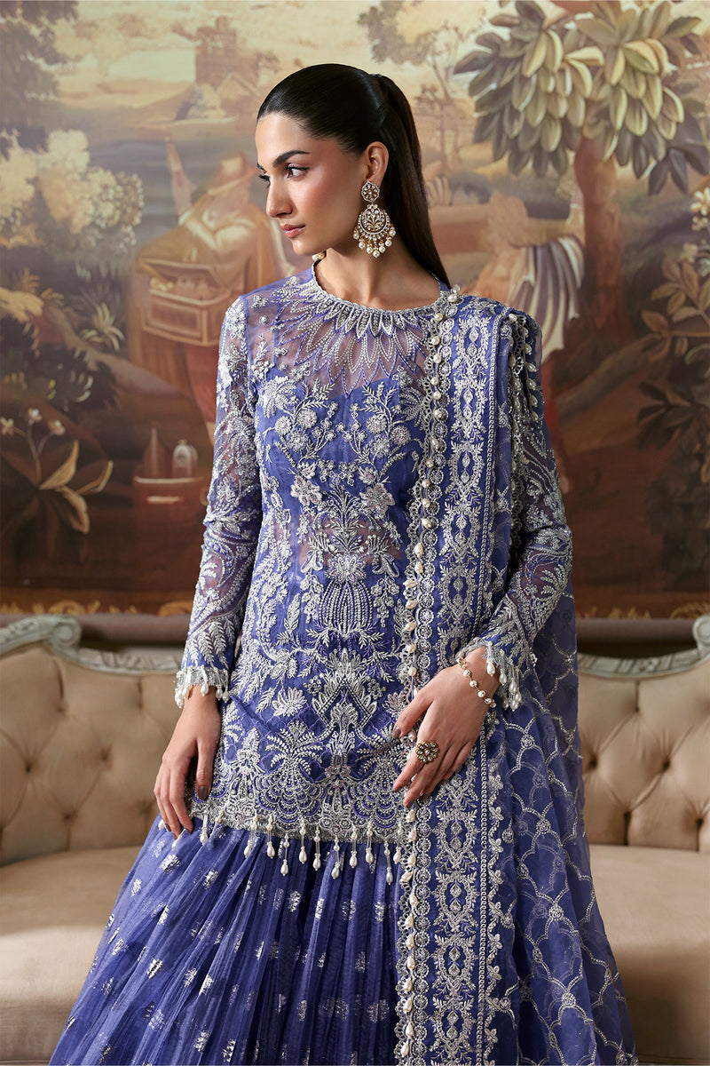 Afrozeh | Dastangoi 25 | Bloomveil - House Of Hania