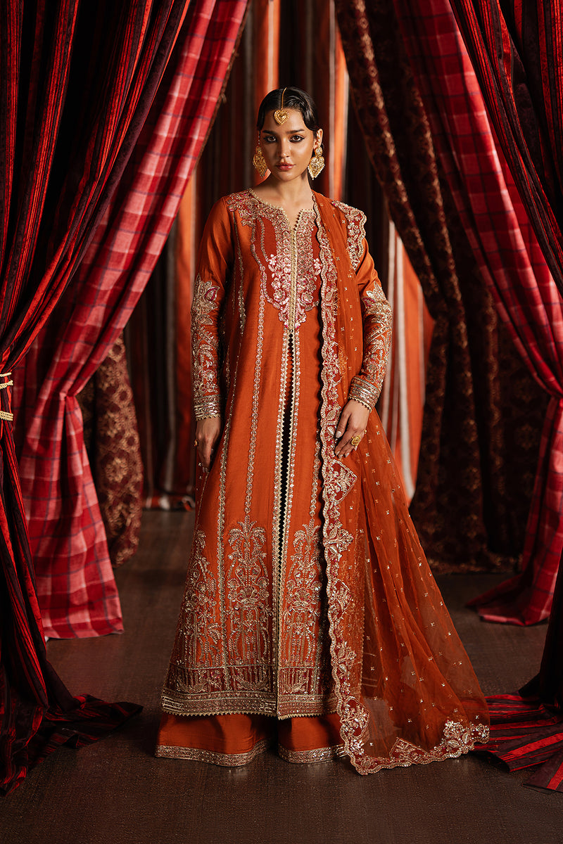 Afrozeh | Divani Silk 25 | Aafreen - House Of Hania