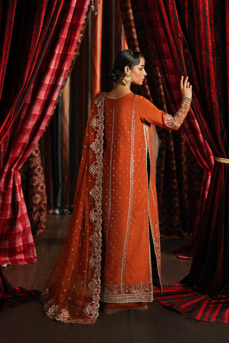 Afrozeh | Divani Silk 25 | Aafreen - House Of Hania