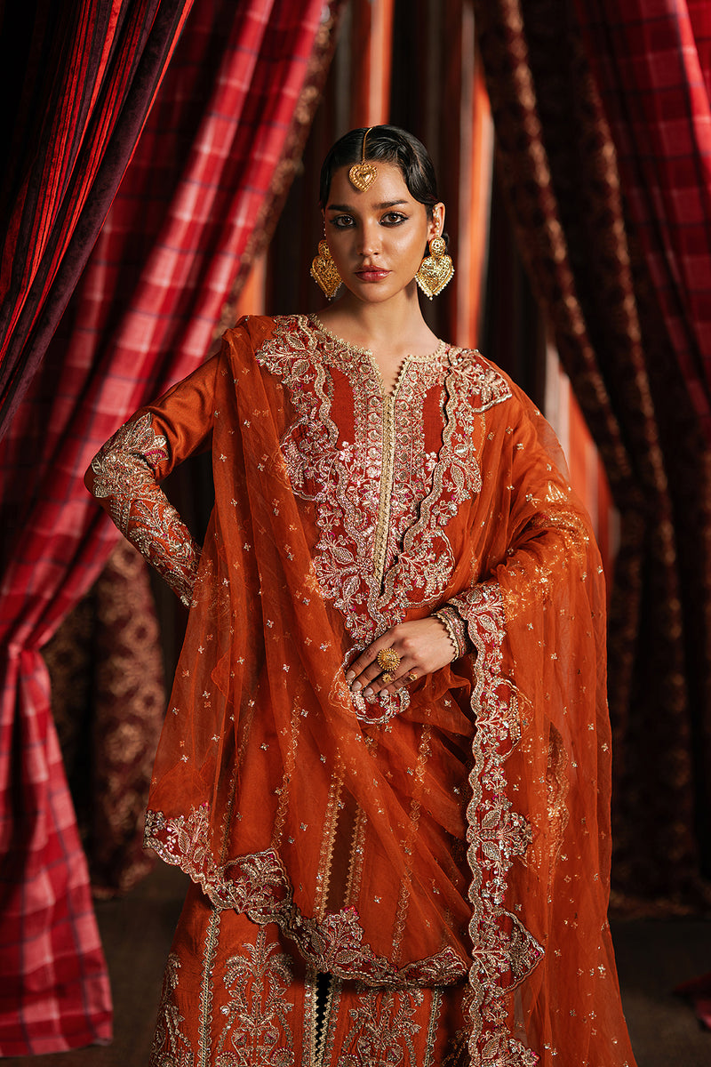 Afrozeh | Divani Silk 25 | Aafreen - House Of Hania