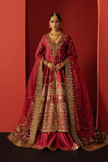 Afrozeh | Divani Silk 25 | Bahaar - House Of Hania