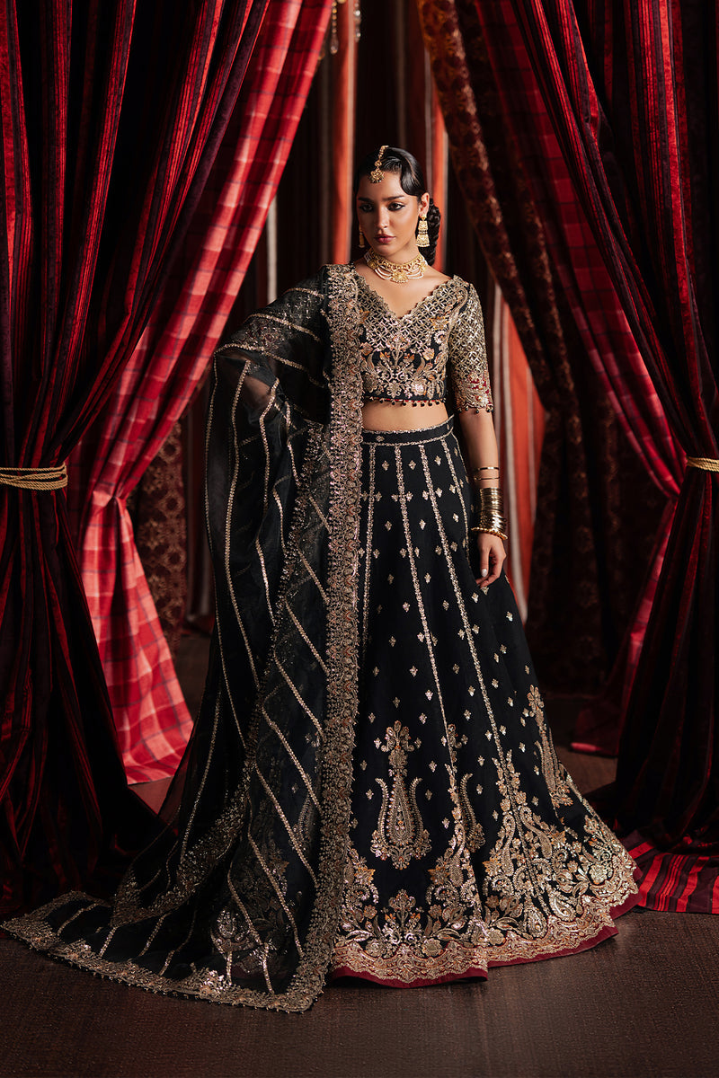 Afrozeh | Divani Silk 25 | Gulraiz - House Of Hania