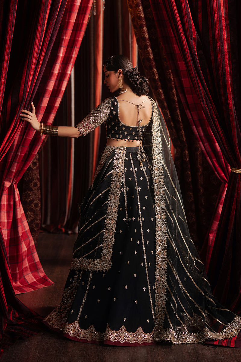 Afrozeh | Divani Silk 25 | Gulraiz - House Of Hania