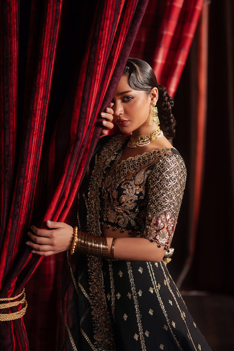 Afrozeh | Divani Silk 25 | Gulraiz - House Of Hania