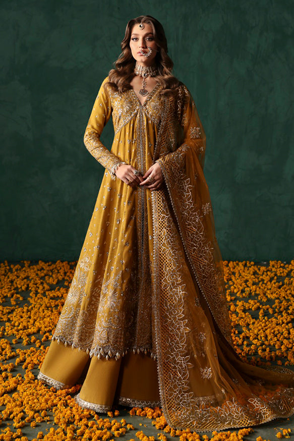 Afrozeh | Divani Silk Edit 25 |  Jahanbano - House Of Hania