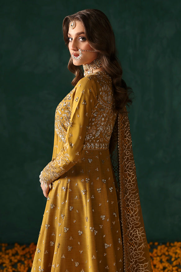 Afrozeh | Divani Silk Edit 25 |  Jahanbano - House Of Hania