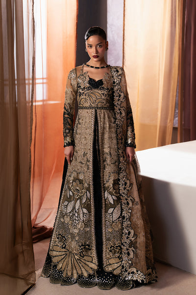Afrozeh | Hayat Formals 25 | Rayyan - House Of Hania