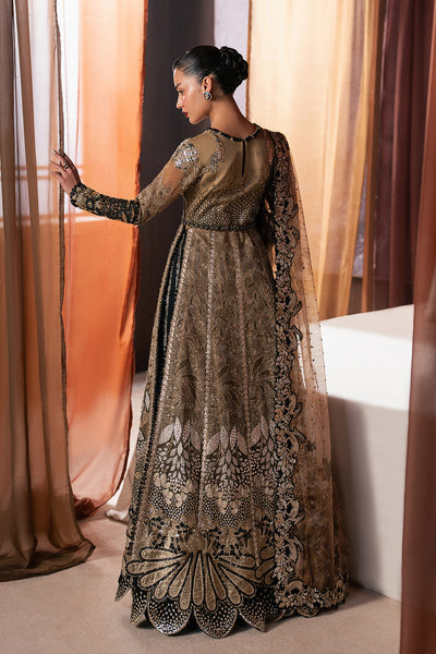 Afrozeh | Hayat Formals 25 | Rayyan - House Of Hania