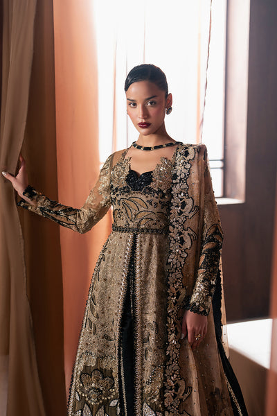 Afrozeh | Hayat Formals 25 | Rayyan - House Of Hania