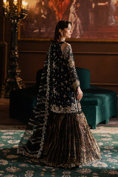 Afrozeh | Hayat Formals 25 | Sarave - House Of Hania