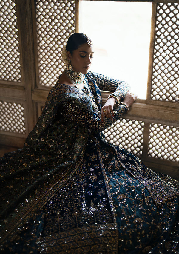 Aik Atelier | Dastoor Velvet 24 | DASTOOR - LOOK 05 - House Of Hania