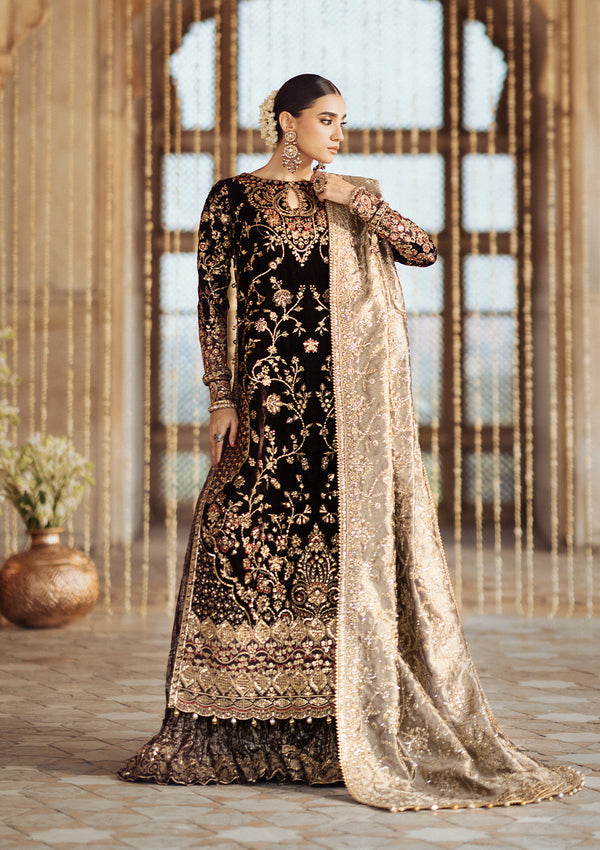 Aik Atelier | Dastoor Velvet 24 | DASTOOR - LOOK 09 - House Of Hania