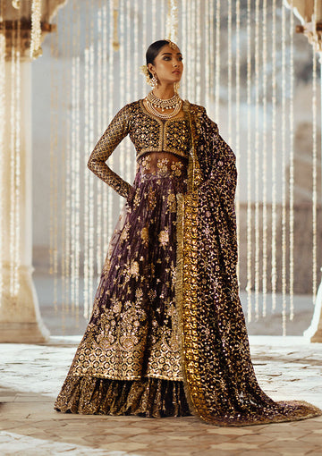 Aik Atelier | Dastoor Velvet 24 | DASTOOR - LOOK 10 - House Of Hania