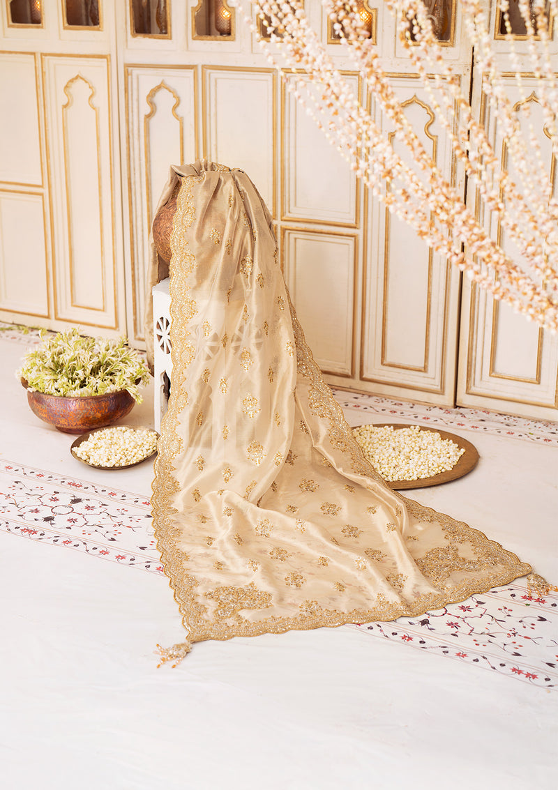 Aik Atelier | LIGHT GOLD TISSUE SHAWL - House Of Hania