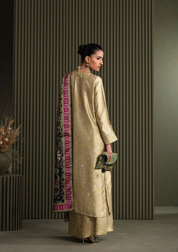 Aik Atelier | Miss Aik Ready to Wear 25 | Look 01 - House Of Hania