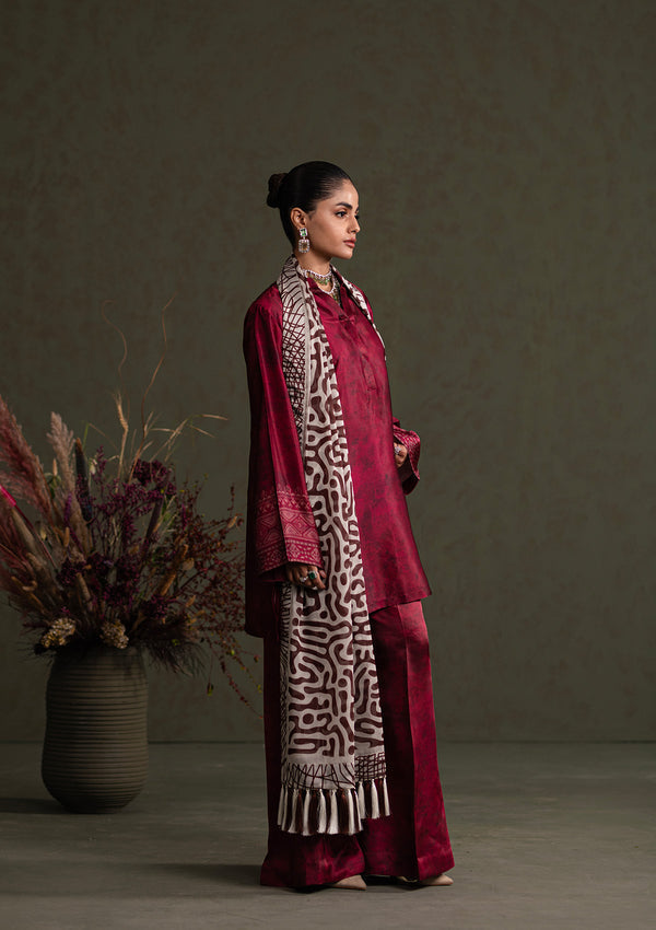 Aik Atelier | Miss Aik Ready to Wear 25 | Look 03 - House Of Hania