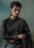 Aik Atelier | Sari Edit 2024 | SARI EDIT '24 VOL. 1 - LOOK 08 - House Of Hania