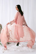Ajr Couture | Luxe Pret Eid Drop | DREEMY - House Of Hania