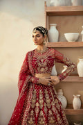 Akbar Aslam Embyrlen back view
