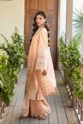 Akbar Aslam Elin back view